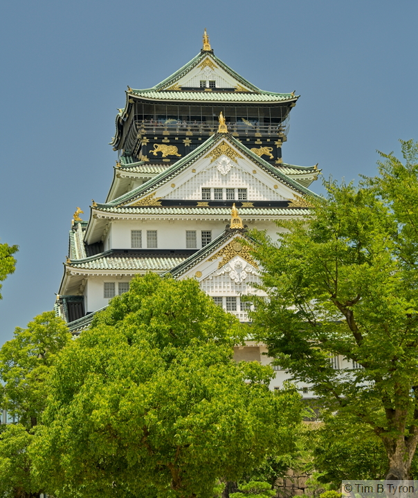 _A743501.jpg